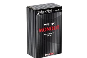 WALLFIX MONOLIT 200 G